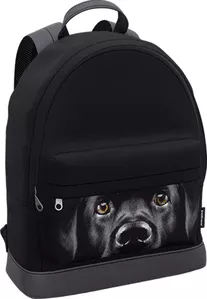 Городской рюкзак Erich Krause StreetLine 17L Black Dog 60349 фото