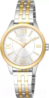 Наручные часы Esprit ES1L259M6085 фото