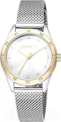 Наручные часы Esprit ES1L349M0105 фото