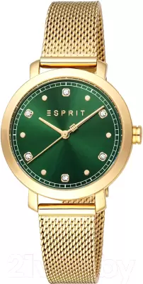 Наручные часы Esprit ES1L402M0035 фото