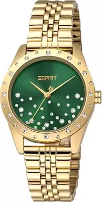 Наручные часы Esprit ES1L405M0045 фото