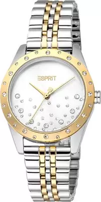 Наручные часы Esprit ES1L405M0065 фото