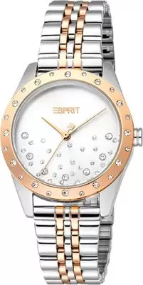 Наручные часы Esprit ES1L405M0075 фото