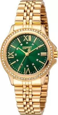 Наручные часы Esprit ES1L466M0065 фото