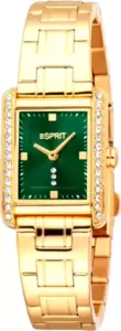 Наручные часы Esprit ES1L512M0055 фото