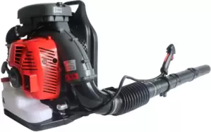 Воздуходувка EVOline BLG 80 BP фото