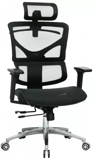 Evolution ERGO Mesh (черный)