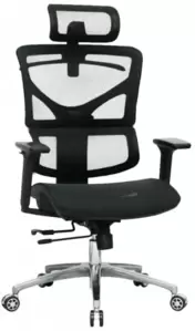 Evolution ERGO Mesh (черный)