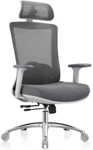 Кресло Evolution ERGO Prime Grey (серый) фото