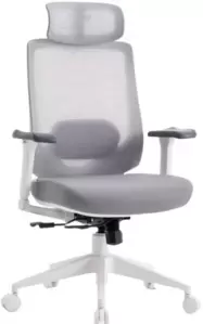 Кресло компьютерное EVOLUTION HybridFlex (белый)