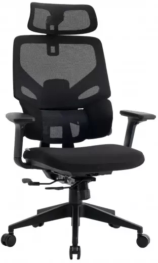 Evolution LumbarPro (черный)