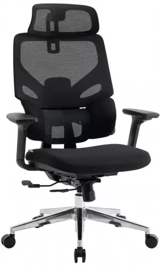 Evolution LumbarPro AL (черный)