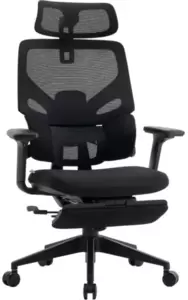 Офисное кресло Evolution LumbarPro FR (черный)