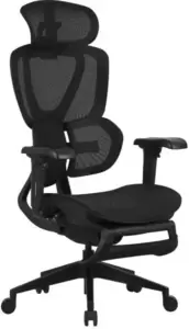 Компьютерное кресло Evolution LX 1 (Black) фото