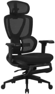 Компьютерное кресло Evolution LX 2 (Fabric Black) фото