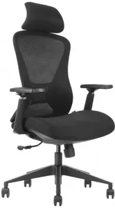 Кресло Evolution Office Comfort (черный) фото