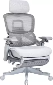 Evolution ZX 1 (серый)