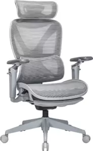 Офисное кресло Evolution ZX 3 (серый)