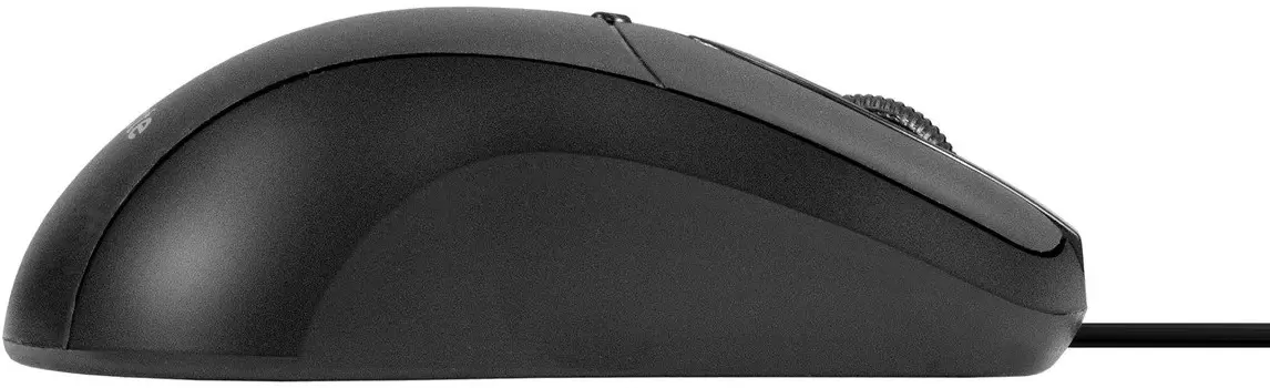 Мышь ExeGate Professional Standard B100L фото