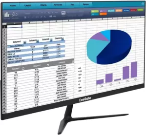 ExeGate SmartView EP2400TA EX300349RUS