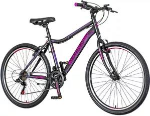 Велосипед Explorer North NOR263 (фиолетовый/серый/розовый) фото