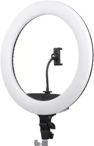 Кольцевая лампа Falcon Eyes BeautyLight 450R LED фото