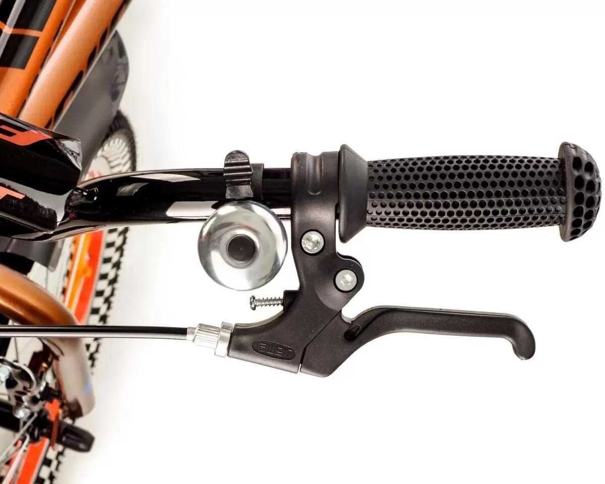 Детский велосипед Favorit Sport 20 SPT-Y20OR (оранжевый) фото