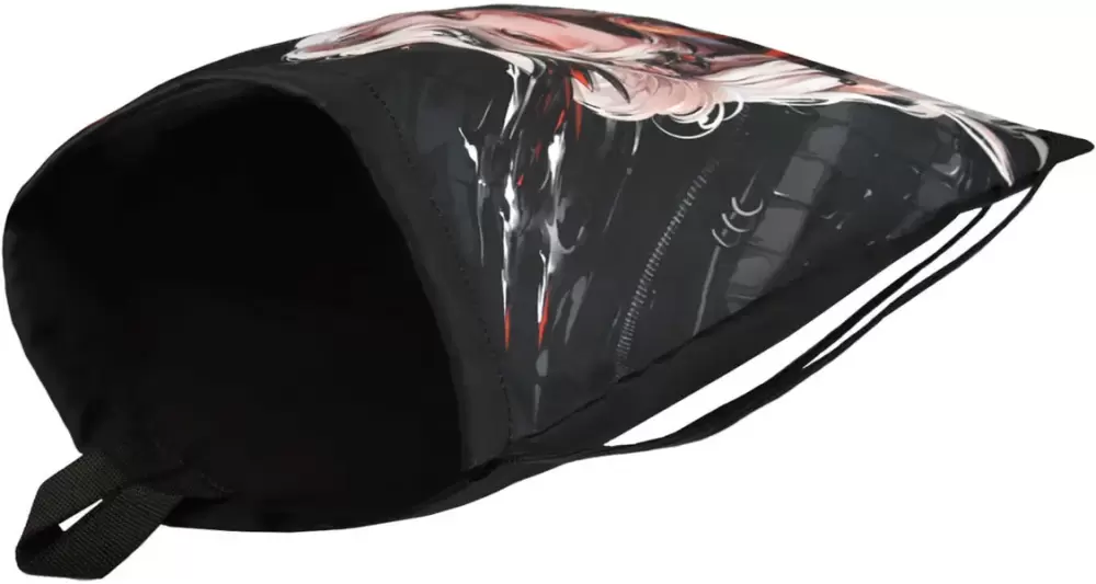 Мешок для обуви Феникс+ Девушка панк 69070 фото