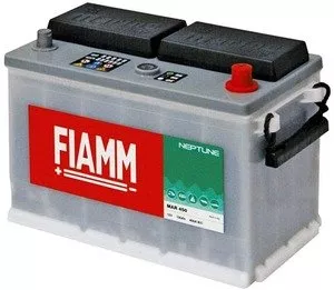 Аккумулятор Fiamm MAR 450 Neptune (100Ah) фото
