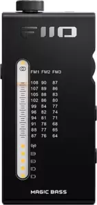 Радиоприемник FiiO RR11 (черный) фото
