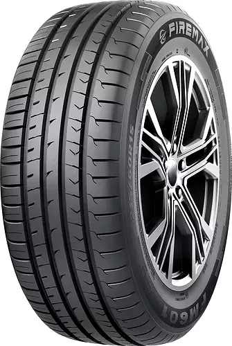 FM601 255/30R19 91W