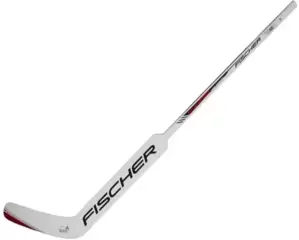 Fischer GW250 JR 132 см, R