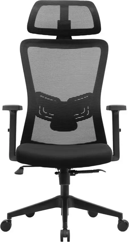 Офисное кресло FLOKY Ember Flow 2 (черный) фото