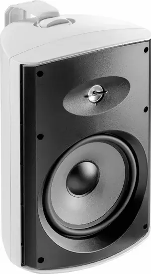 Настенная акустика Focal 100 OD8 (белый) фото