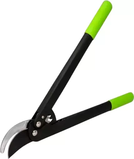 Forester Premium 9273