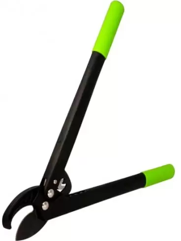 Forester Premium 9274