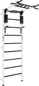 Спортивный комплекс Формула здоровья Flexter Profi ШСТБF0.12-FLX P (белый/черный) фото