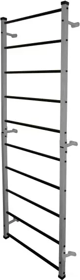 Формула здоровья ШСП01x600 (серебристый/черный)