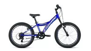 Детский велосипед Forward Dakota 20 1.0 2021 (синий) фото