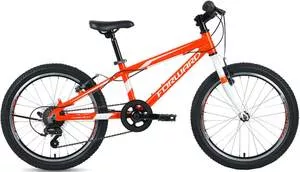 Детский велосипед Forward Rise 20 2.0 2020 (оранжевый) фото