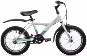 Детский велосипед Forward Dakota 16 2022 (серый) фото