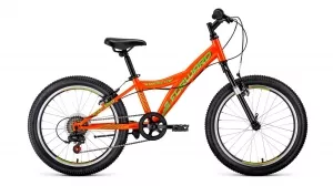 Детский велосипед Forward Dakota 20 1.0 2021 (оранжевый) фото
