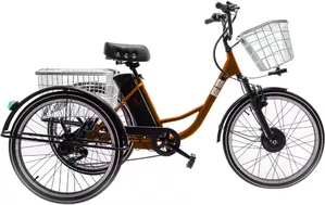 Электровелосипед Furendo E-Trike 350 оранжевый фото