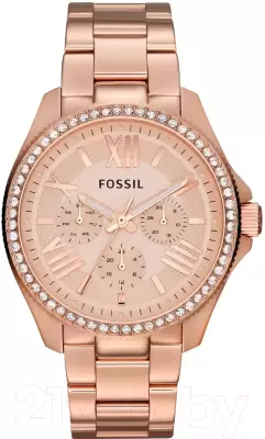 Наручные часы Fossil AM4483 фото