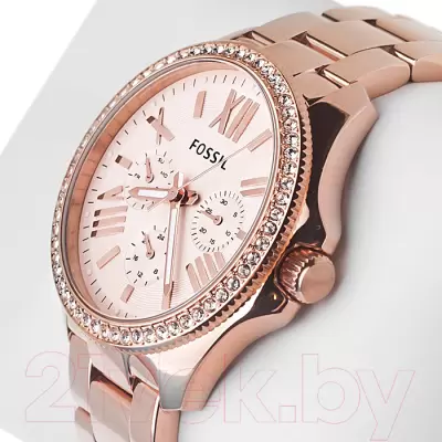 Наручные часы Fossil ES5201 фото