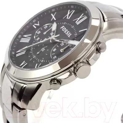 Наручные часы Fossil FS4736IE фото