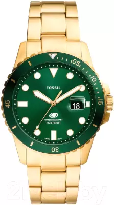 Наручные часы Fossil FS6030 фото