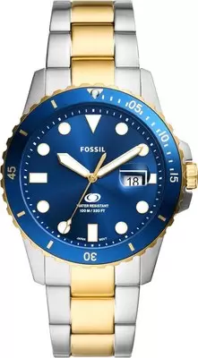 Наручные часы Fossil FS6034 фото