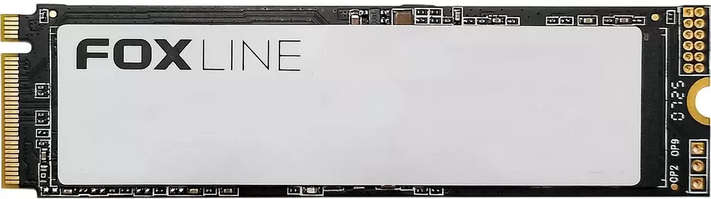 Foxline X5T 1024GB FL1024M80CSM259X5T