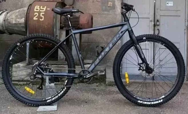 Foxter Aspire 29 р.20 2023 (серый)